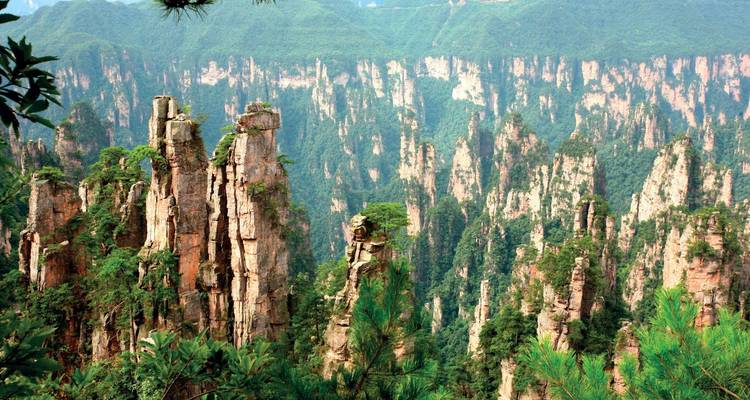 Des piliers de grès spectaculaires couverts de verdure s'élèvent d'un canyon luxuriant dans le Parc national de Zhangjiajie.