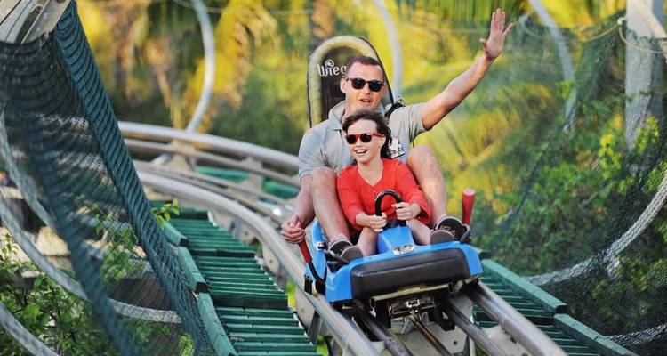 Vater und Kind lachen, während sie mit einer Alpen-Achterbahn durch üppiges Grün fahren.
