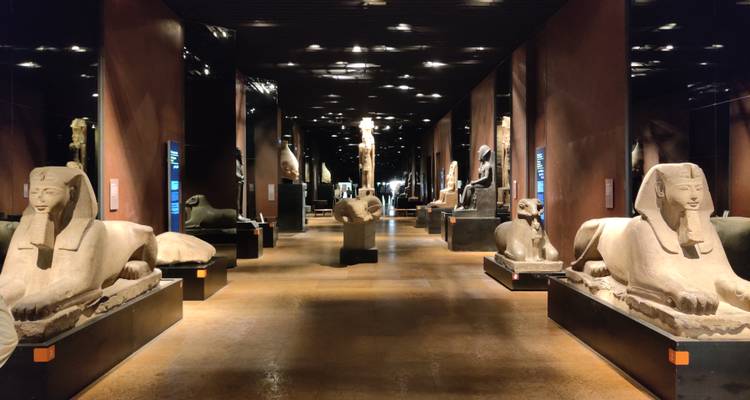 Galerie de musée faiblement éclairée bordée de statues de sphinx égyptiens antiques et d'artefacts.