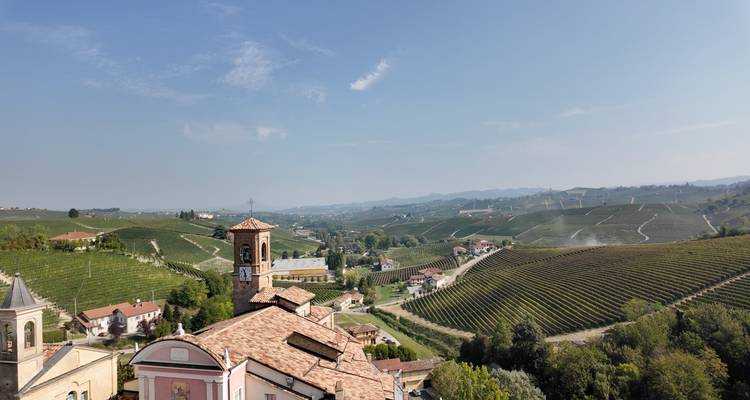 Vue panoramique sur des collines ondulantes couvertes de vignobles et un clocher d'église au sommet d'une colline.