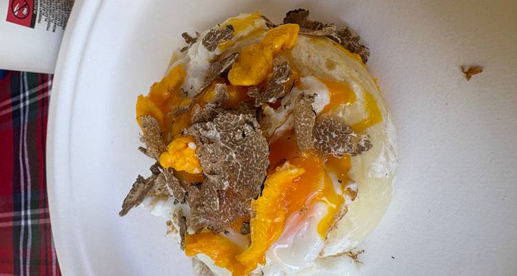 Gros plan d'un oeuf poché à la coque garni de truffe râpée sur une assiette blanche.
