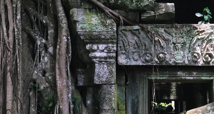 Mit Moos bewachsener Steineingang und Baumwurzeln antiker Dschungeltempelsruinen in der Angkor-Region.