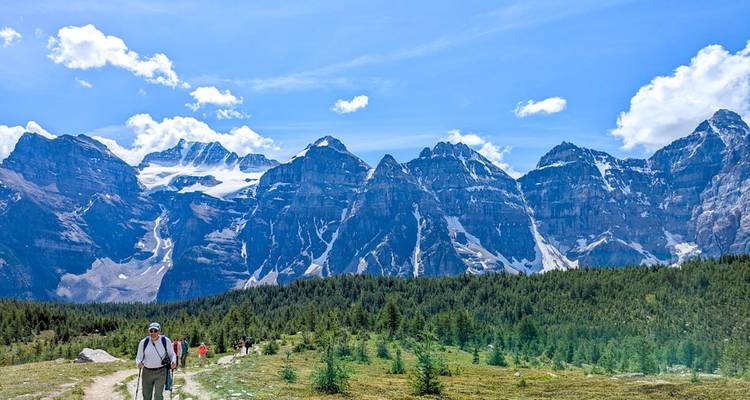 Un randonneur avec des bâtons de randonnée marche sur un sentier alpin herbeux en direction d'une chaîne de montagnes spectaculaire aux pics enneigés sous un ciel bleu.