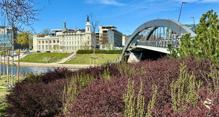 Puente de arco moderno sobre el río Neris con parque ajardinado y edificios de la ciudad detrás de arbustos vibrantes.