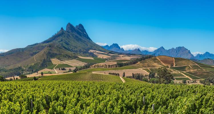Les vignobles ondulants s'étendent sous un pic montagneux escarpé sous des ciels sans nuages.