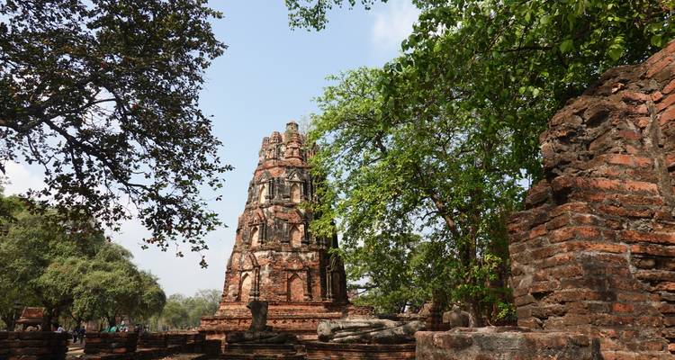 Ruina de prang de ladrillo rojo destruido enmarcada por árboles verdes en el Parque Histórico de Ayutthaya.