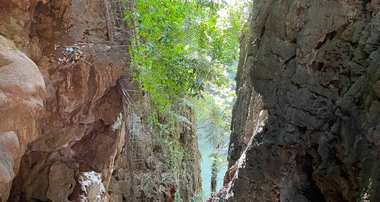 Garganta rocosa y estrecha con vegetación tropical en lo alto y la luz del sol filtrándose a través.