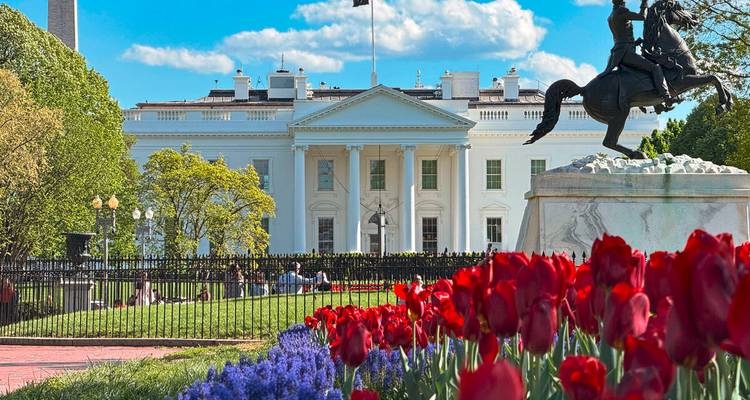 Vorgarten des Weißen Hauses, umrahmt von blühenden roten Tulpen und einer Statue in Washington DC an einem sonnigen Frühlingstag