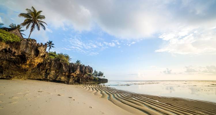 Plage tropicale immaculée avec sable ondulé, palmiers, falaises rocheuses et mer peu profonde et calme sous un vaste ciel