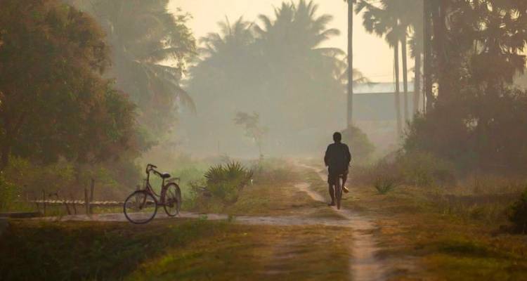 Ciclista en silueta en un camino de tierra brumoso rodeado de palmeras al amanecer en la zona rural de Camboya