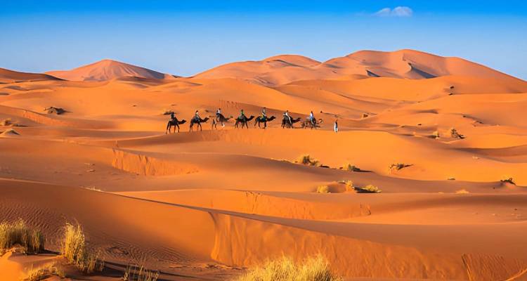 Caravane de chameaux traversant de vastes dunes orange sous un ciel désertique bleu éclatant