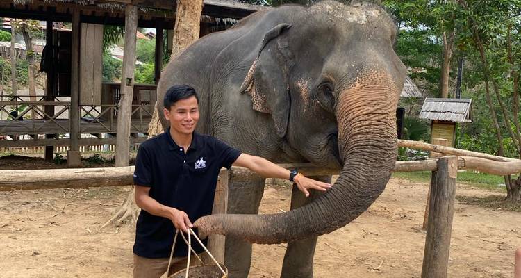 Un visitante alimenta a un elefante que estira su trompa sobre una cerca de madera en un santuario.