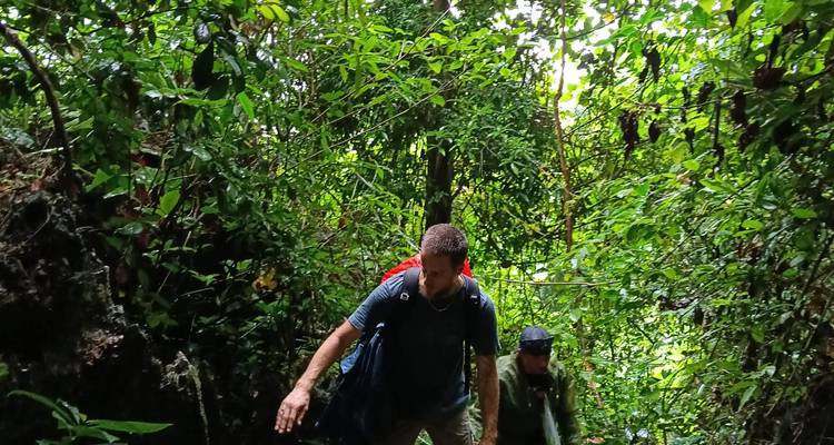 Dos trekkers negocian un estrecho sendero de la selva rodeado de enredaderas y follaje espeso.