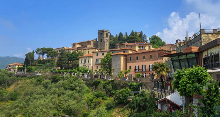 Heuveltop Toscaans dorp Montecatini Alto met stenen huizen, toren en weelderig groene omgeving.