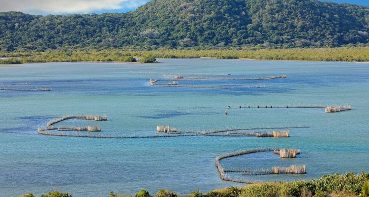 Turquoise estuary with winding traditional fish-kraals and forested hills rising behind the calm water.