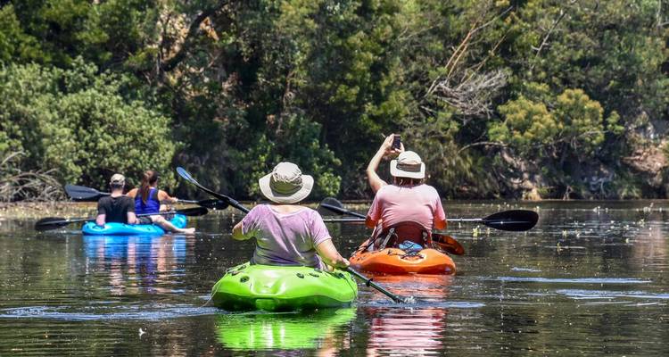 Small group paddling brightly colored kayaks along a tranquil, tree-lined river.