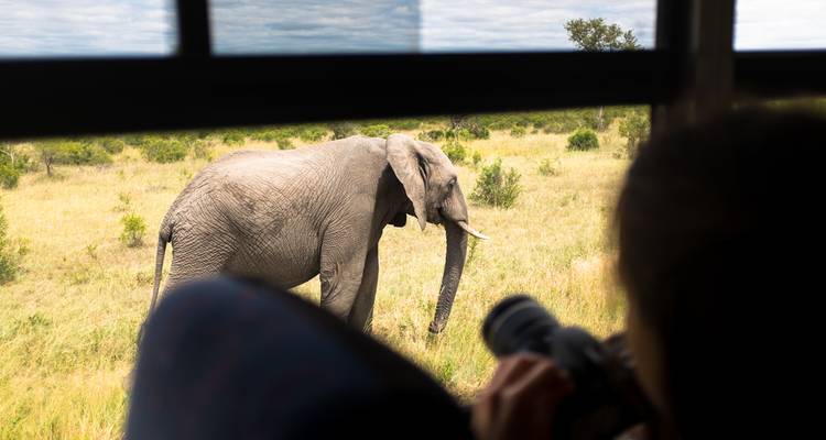 Photographer inside a vehicle frames an elephant walking through open grassland.