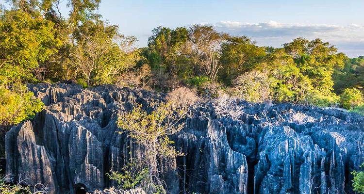Des pics de calcaire gris dentelés s'élèvent sous une canopée de forêt verte dans un ciel d'un bleu limpide.