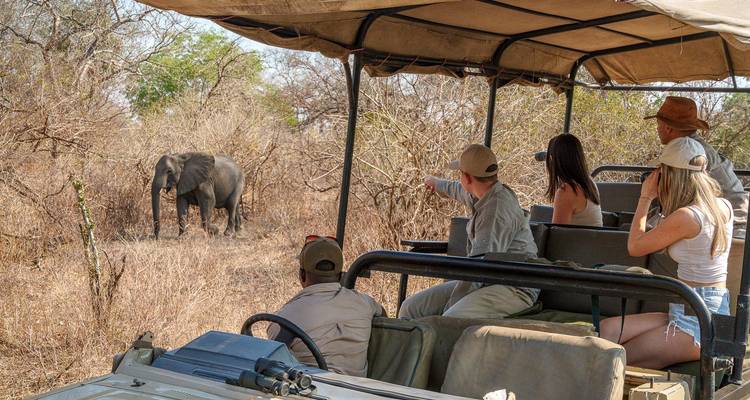 Safariauto mit Touristen, die einen wilden Elefanten im trockenen Bushveld beobachten