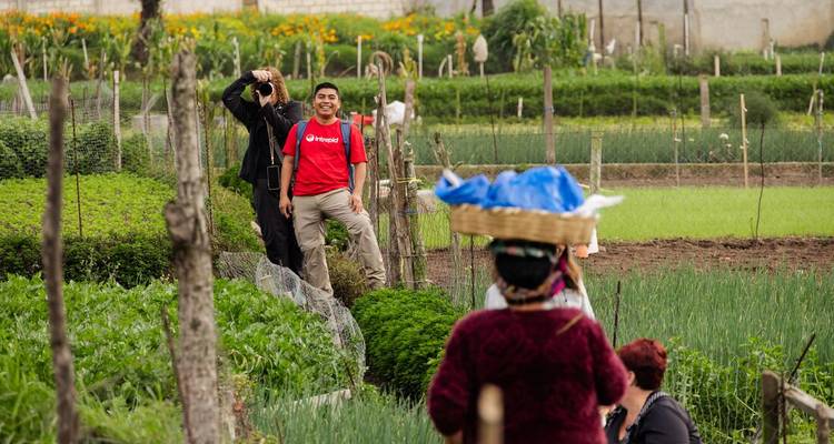 Un guide et des voyageurs explorent des jardins potagers luxuriants dans une communauté rurale.