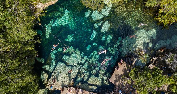 Vue aérienne d'un cénote aux eaux cristallines où les nageurs flottent parmi les formations rocheuses et les arbres.