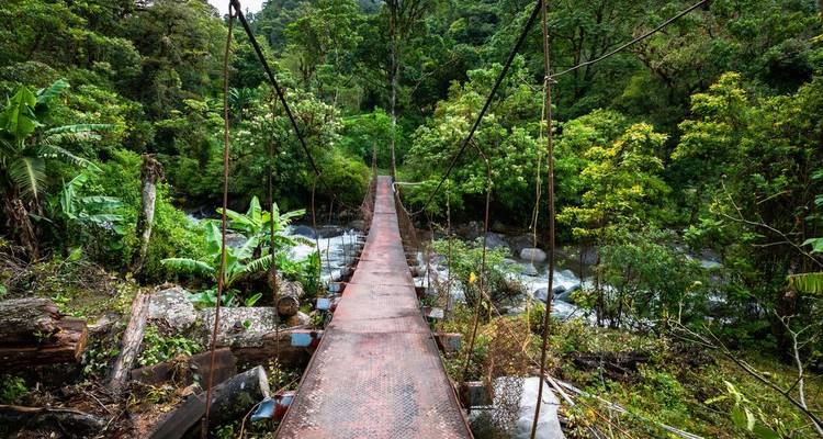 Rustic suspension bridge stretching over a rushing jungle river surrounded by dense greenery.