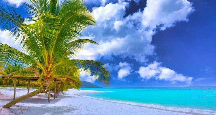Playa tropical de arena blanca e idílica con agua turquesa, palmeras y cielo azul brillante en Koh Rong