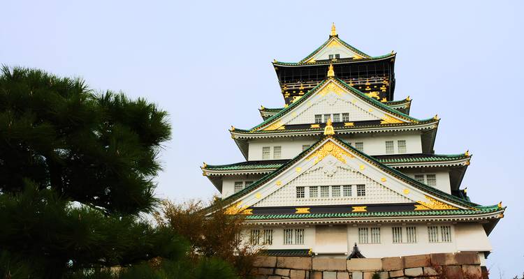 Das großartige Schloss Osaka mit weißen Mauern und grünen und goldenen Dächern, das sich über Steinwällen und Kiefernbäumen erhebt.