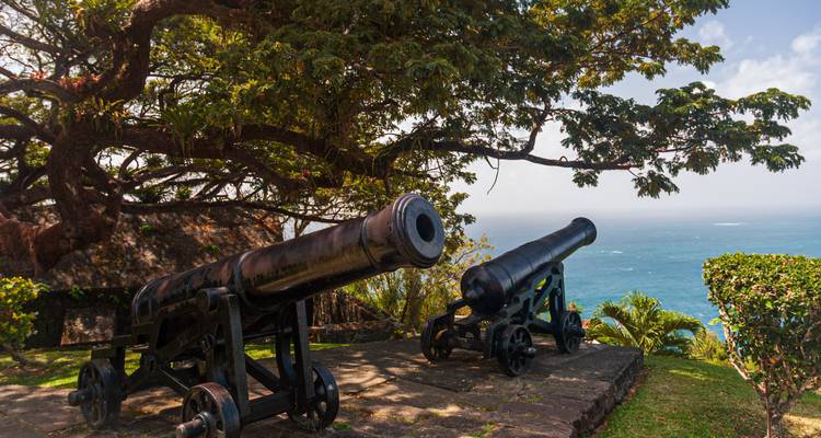 Des canons noirs historiques montés sur une plateforme en pierre surplombant une mer d'un bleu éclatant sous un arbre ombragé.