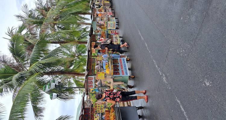 Row of street-food carts under swaying palms selling BBQ and snacks along a coastal road.