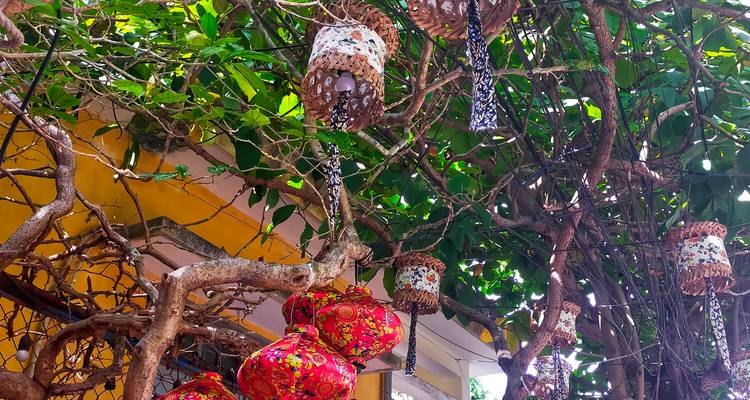 Decorative lanterns and woven lamps hanging from twisting tree branches outside a yellow house.