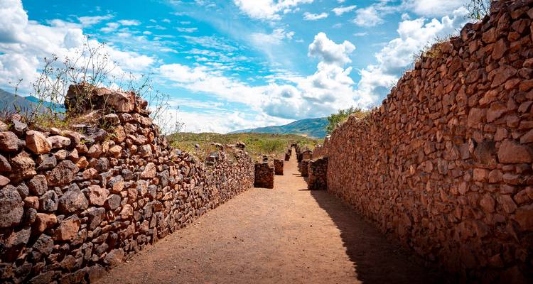 Un sentier étroit bordé de hauts murs en pierre inca s'étend vers les montagnes lointaines sous un ciel dégagé.