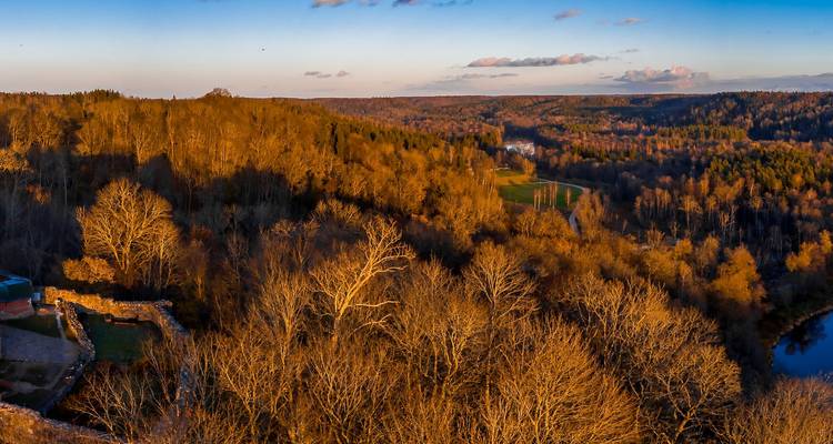 Vue aérienne automnale d'une vaste vallée boisée aux cimes d'arbres couleur rouille et à une rivière sinueuse.