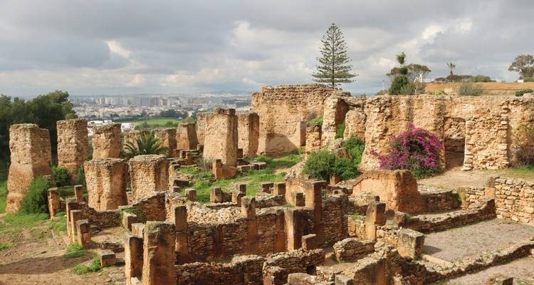 Ruïnes van oude stenen zuilen en muren van Carthago met de moderne stad zichtbaar in de verte.
