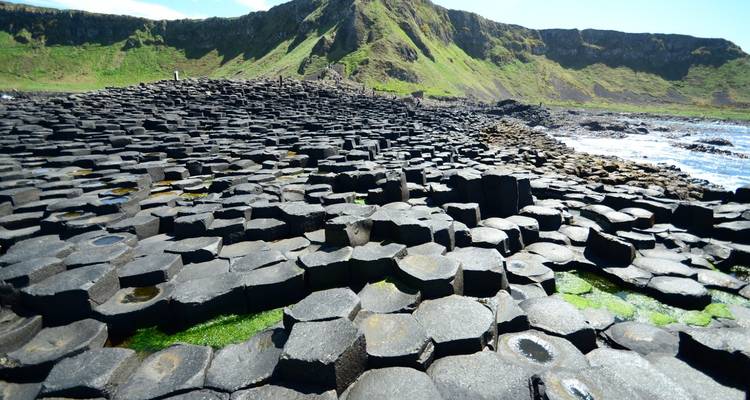 Zeshoekige basalten zuilen van de Giant's Causeway vormen een natuurlijke bestrating die zich uitstrekt naar groene kliffen en de zee.