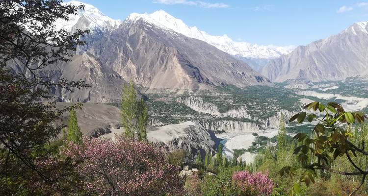Les pics enneigés du Karakoram s'élèvent au-dessus de terrasses vertes et d'arbres roses en fleur dans une large vallée