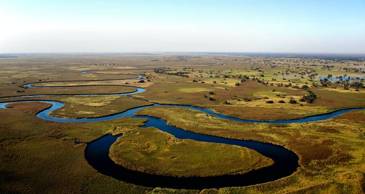 Vue aérienne des cours d'eau sinueux du Delta de l'Okavango traversant les plaines herbeuses.