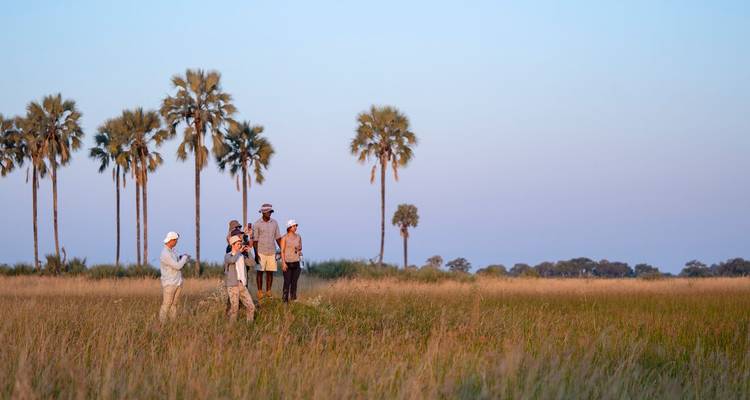 Petit groupe en safari à pied à travers les plaines herbeuses parsemées de palmiers à l'aube.