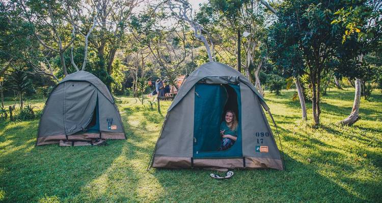 Pequeño campamento con dos carpas de domos en el pasto verde y un viajero asomándose por la entrada.