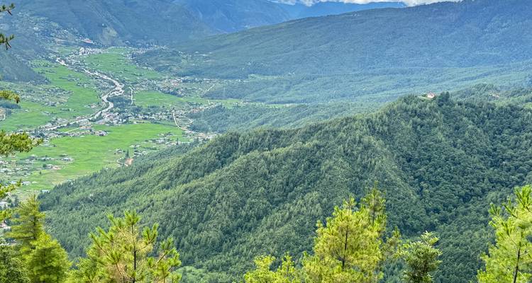 Bosrijke heuvelrug en uitgestrekt dallandschap met lappendekenachtige velden gezien vanaf een verhoogd uitkijkpunt.