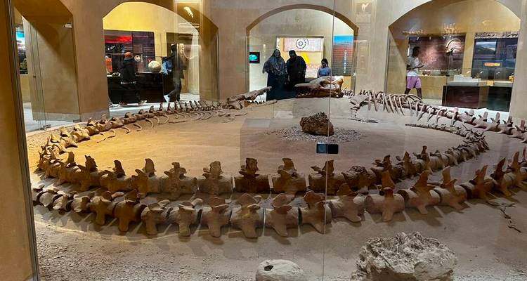 Exhibición de fósiles en interiores de una enorme columna vertebral de esqueleto prehistórico dispuesta en una exhibición circular con visitantes observando.