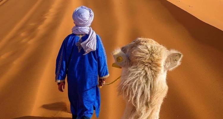 Guía bereber con túnica azul guiando un camello a través de dunas ondulantes de color naranja bajo la luz clara del desierto.
