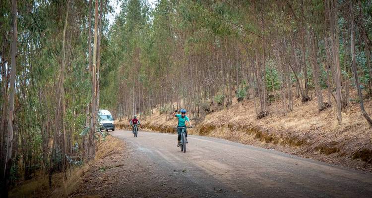 Fietsers die een rustige bosweg afrijden omzoomd door hoge eucalyptusbomen met een steunwagen in de verte