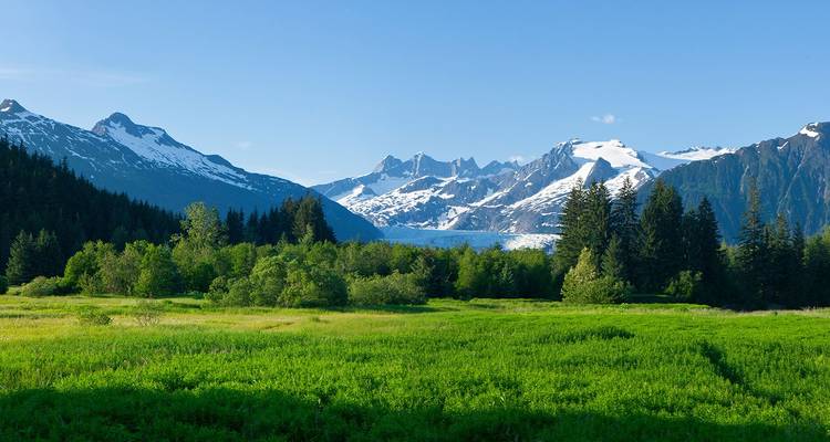 Üppiges grünes Tal mit dichtem Wald, das zu schneebedeckten Bergspitzen und einem Gletscher unter klarem Himmel führt