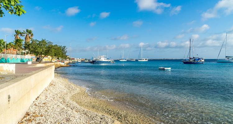 Baie caribéenne calme avec des yachts mouillés et une petite plage de galets sous un ciel bleu éclatant.