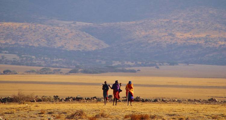 Drie Maasai-figuren die over gouden vlaktes lopen met heuvels in de verte
