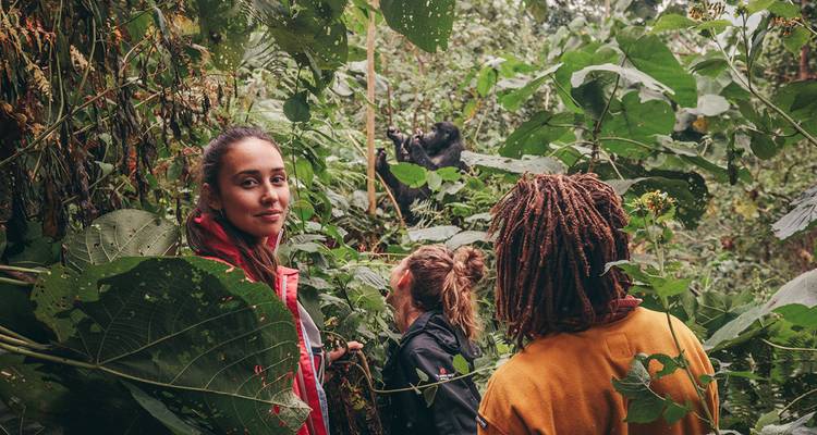 Viajeros caminando por la selva espesa para ver un gorila en una rama