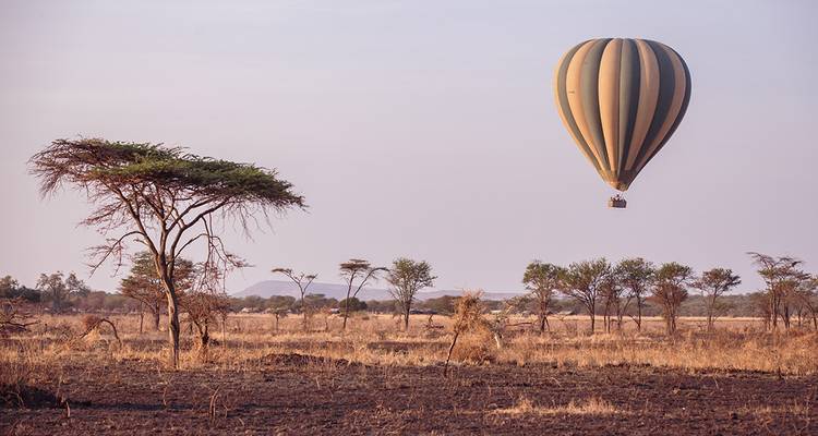 Heißluftballon, der bei Sonnenaufgang über trockener Savanne mit verstreuten Akazienbäumen schwebt
