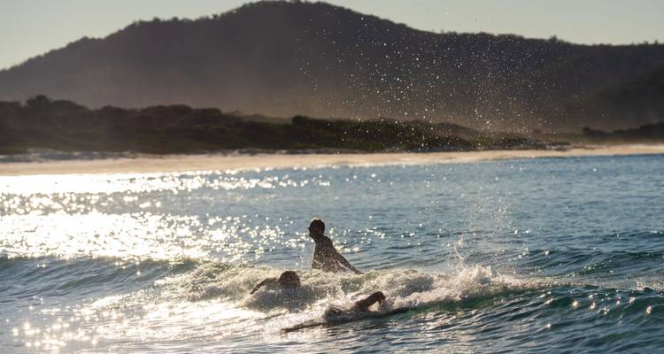 Les surfeurs éclaboussent à travers les vagues illuminées par le soleil avec un promontoire forestier brumeux en arrière-plan.