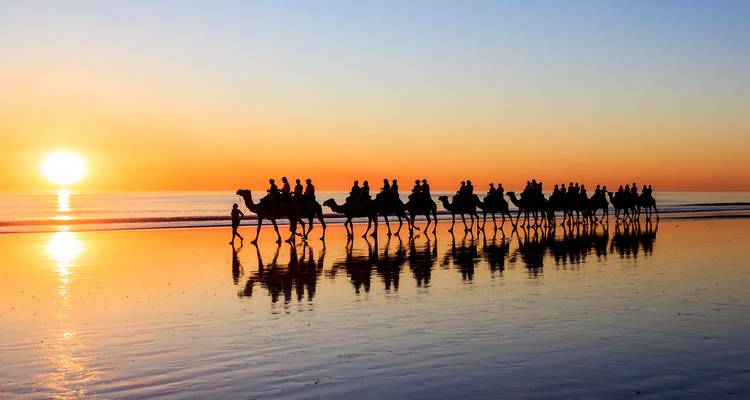 Caravane de chameaux se découpant en silhouette traversant les sables mouillés de Cable Beach au coucher de soleil orange éclatant.